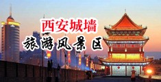 小骚逼www福利视频中国陕西-西安城墙旅游风景区