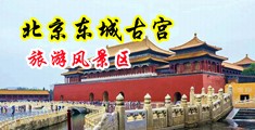 日韩美女操逼逼中国北京-东城古宫旅游风景区